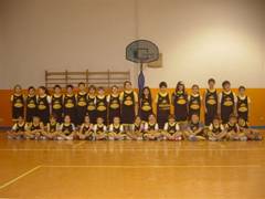 Api Basket Palagiano