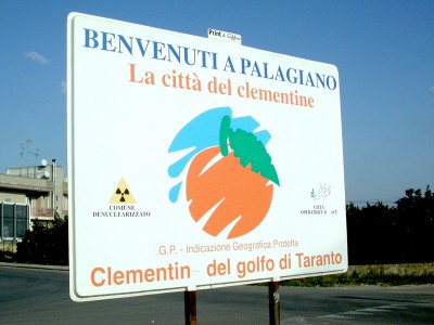 A Palagiano 26° Sagra del Mandarino, in programma per il 9 e 10 gennaio