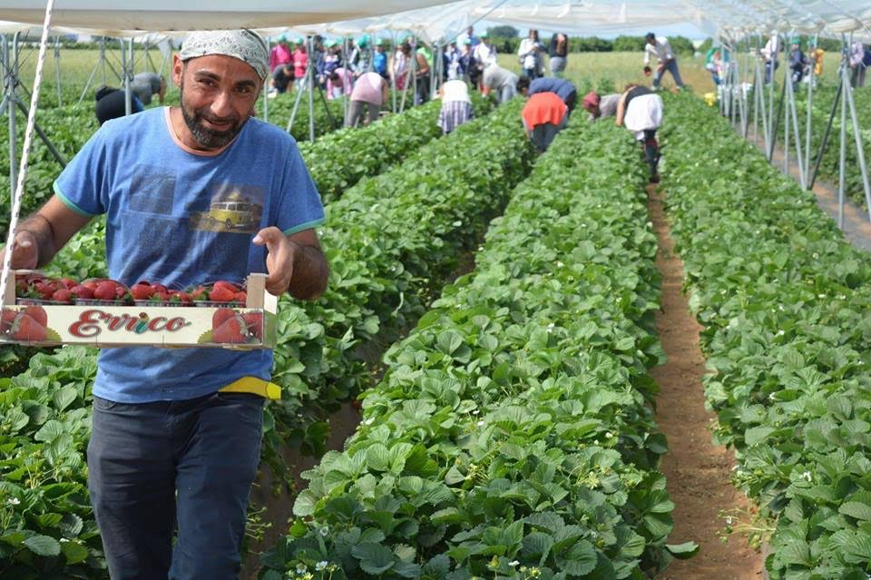 Prosegue il progetto della Cia Agricoltori Italiani per far conoscere il mondo agricolo e le sue produzioni agli studenti