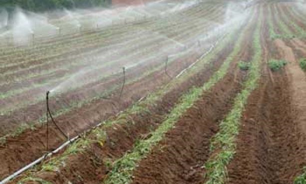 Acqua per l’agricoltura,  «Ora basta inefficienze e ritardi»