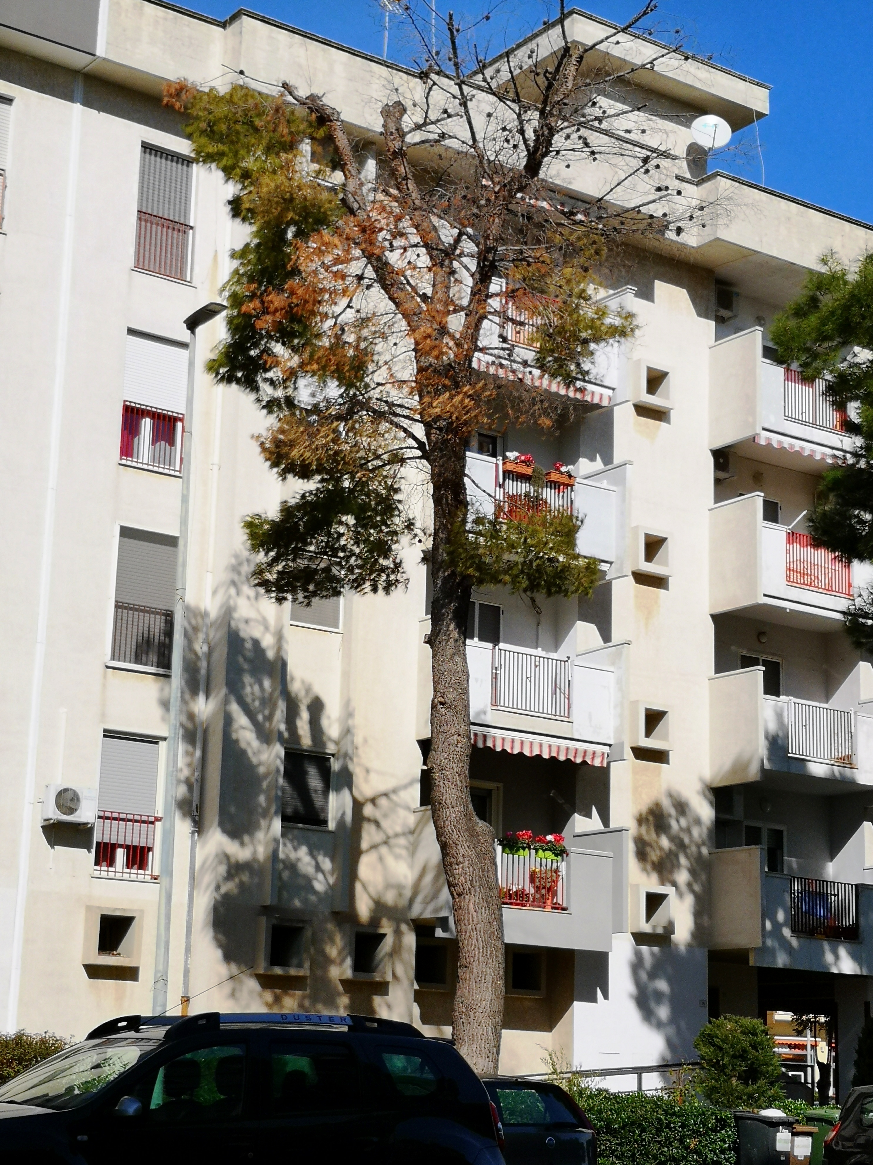 Comunicato Stampa Lega Ambiente Palagiano