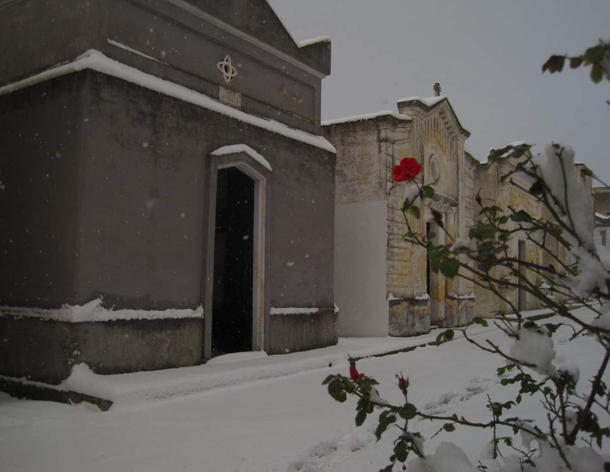 Tempio Crematorio: le ragioni di un No