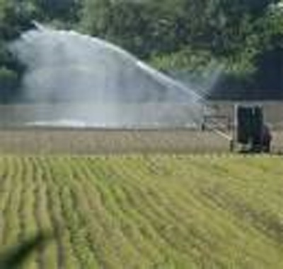 Taranto, agricoltura senz’acqua. Cia Due Mari: “Situazione grave”