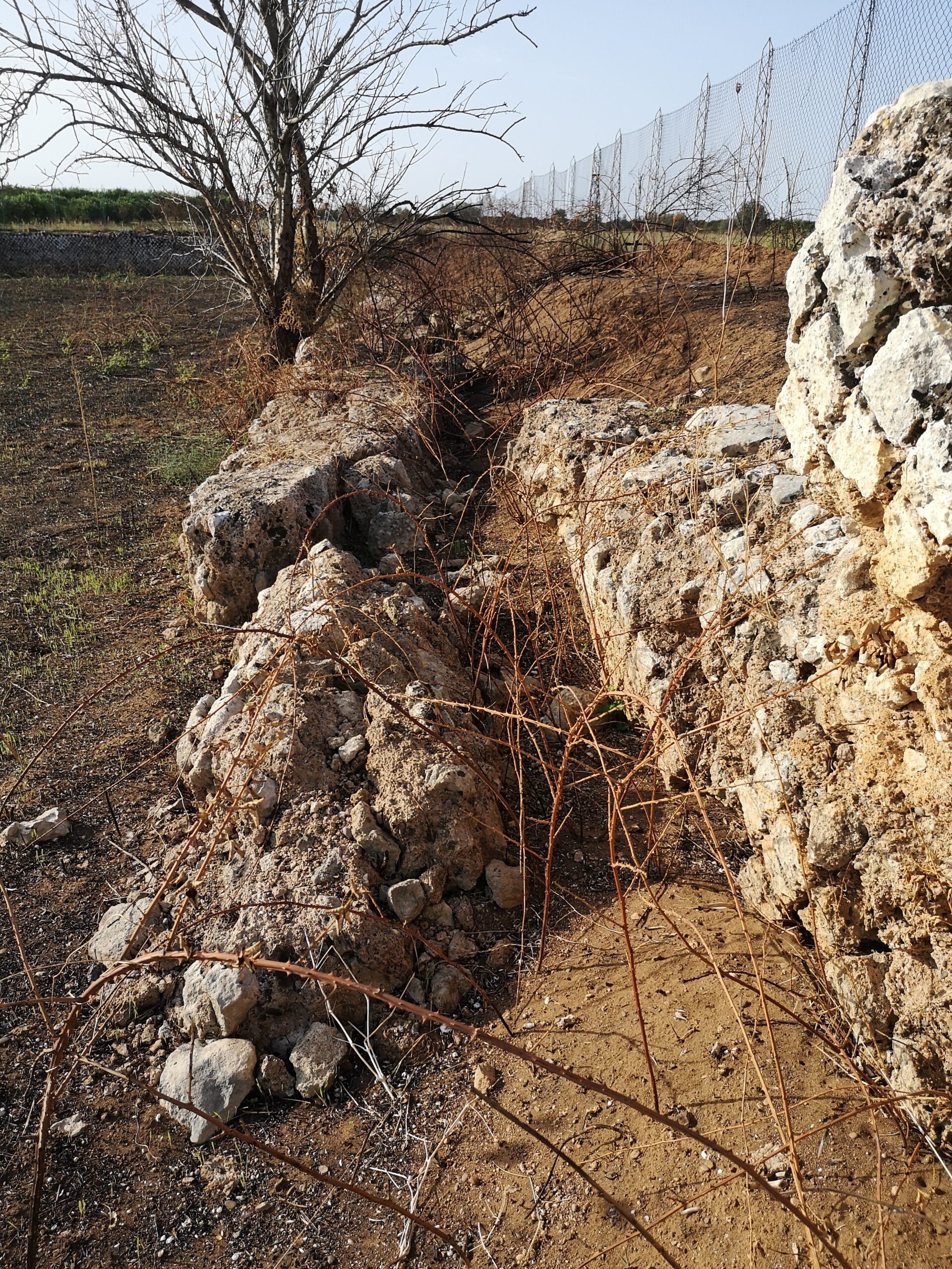 Stato di degrado del sito archeologico “Parete Pinto” in territorio di Palagiano