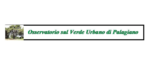 Sull’abbattimento di numerosi alberi a Palagiano e la tutela  del Verde Urbano.