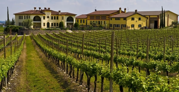 Trasporto di lavoratori agricoli per contrastare il fenomeno del caporalato